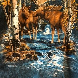 Polar graphics Alaska X-LARGE men’s t-shirt.  New